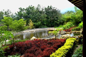 fina-con-lago-para-eventos-medellin