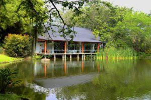 salon-para-matrimonios-y-evetos-medellin